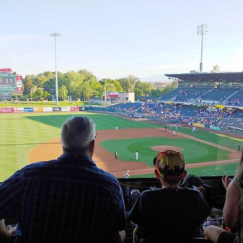 Epic Engineering summer party at baseball game